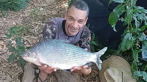 Na Pescaria De Mandi E Bagre Tamb M Saiu Curimba Assado Na Beira Do