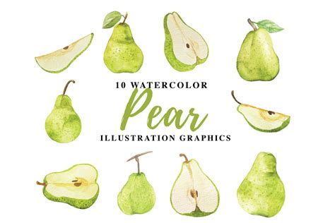 10 Watercolor Pear Illustration Graphics By IanMikraz Studio