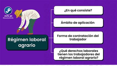 Todo lo que debes conocer sobre el régimen laboral agrario Juris pe