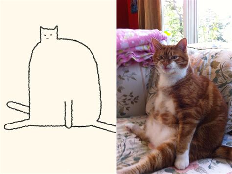 Really Accurate Cat Drawings - Barnorama