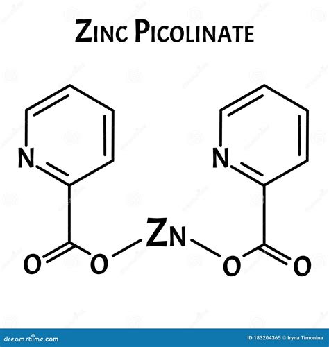 Zinc Picolinate Molecular Chemical Formula Zinc Infographics Vector Illustration On Isolated