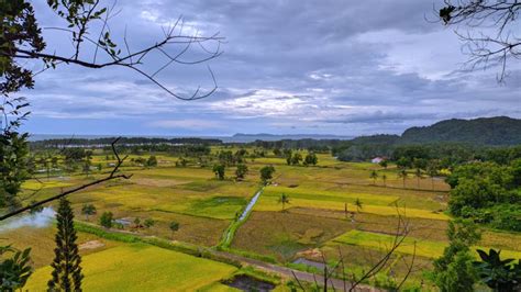 Gunung Srandil Jejak Sejarah Dan Kesejukan Alam Di Cilacap