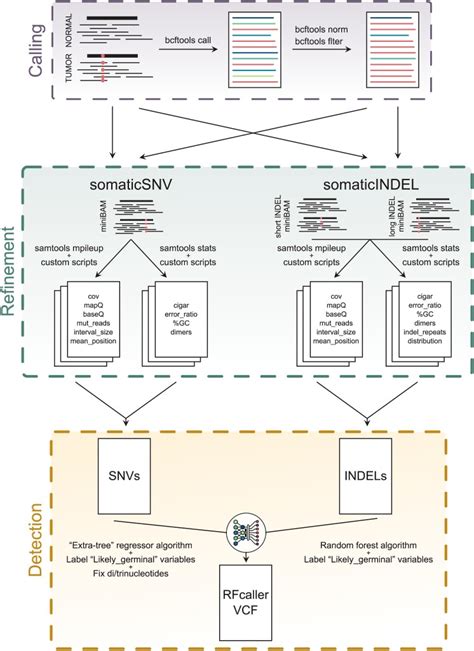 RFcaller A Machine Learning Approach Combined With Read Level Features