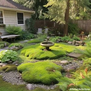 Custom Alpine Garden Design Detailed Plant List & Support Designed for ...