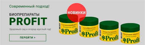 Интернет-магазин «Процветок» в Беларуси
