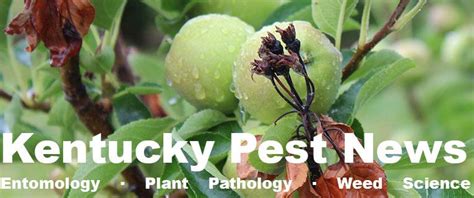 Kentucky Pest News Plant Pathology