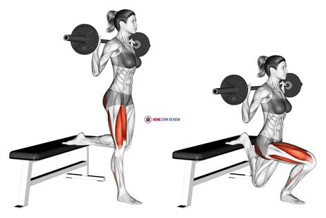 Barbell Single Leg Split Squat (female) - Home Gym Review