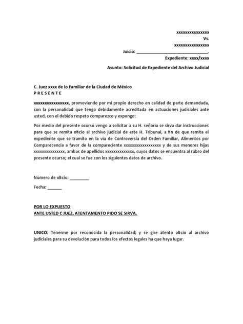 Solicitud Expediente Archivo Judicial Pdf