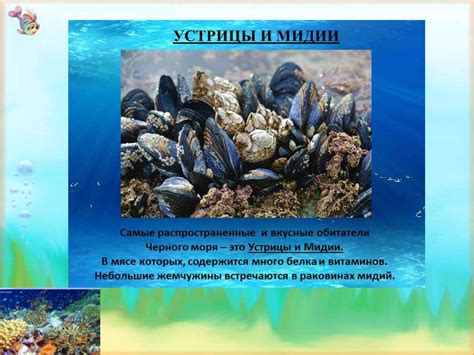 Морские обитатели Черного моря - презентация онлайн
