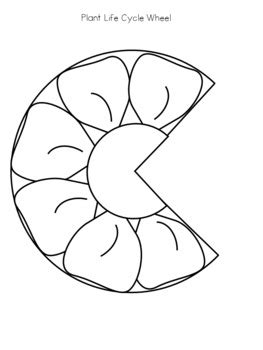 Plant Life Cycle Wheel by Hush-a-bye | TPT