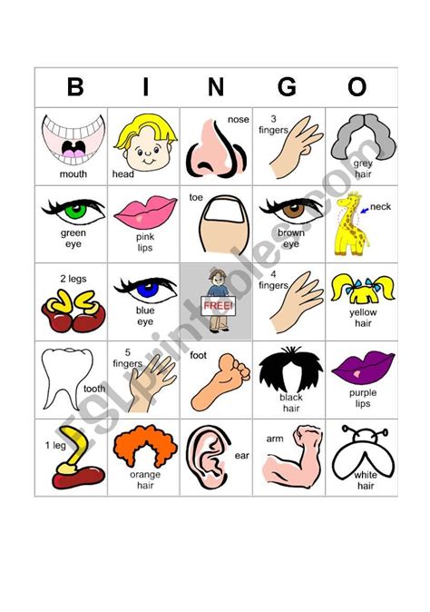 Bingo Body Parts Esl Worksheet By Bibiana13