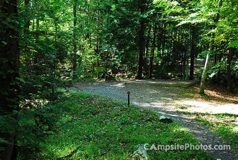 Elkmont - Campsite Photos, Reservations & Camping Info