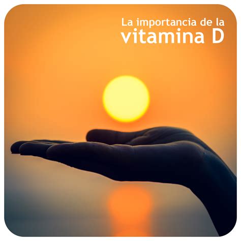 La Importancia De La Vitamina D Instituto Tomas Pascual Sanz