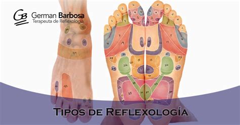 Reflexologia Higado Atelier Yuwa Ciao Jp