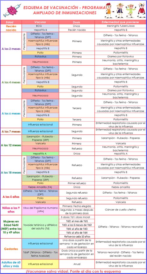 Esquema Regular De Vacunaci N Caja De Compensaci N Familiar