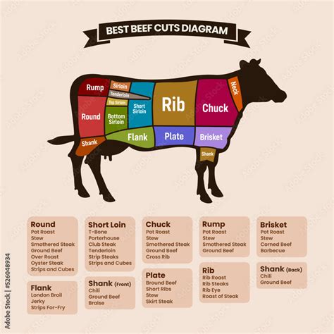 Beef Cuts Diagram With American Cuts Of Beef Meat Vector Illustration Stock Vector Adobe Stock