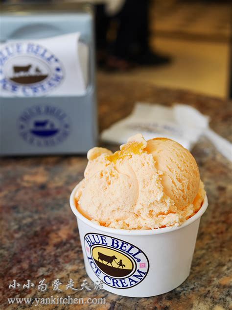 Blue Bell Ice Cream In Michigan Hotsell Head Hesge Ch