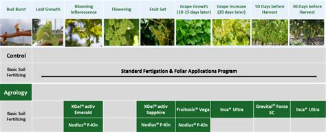 Total Yield Increase in Table Grapes - Agrology English