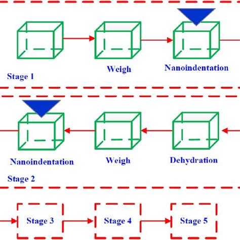 Schematic Diagram Of Dehydration And Experiments In All Stages Download Scientific Diagram