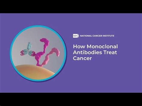 Definition Of Monoclonal Antibody NCI Dictionary Of Cancer Terms NCI