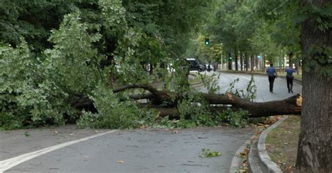 Milano forti raffiche di vento in città nel tardo pomeriggio di