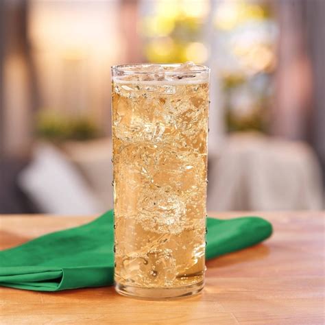 Zero Sugar Ginger Ale