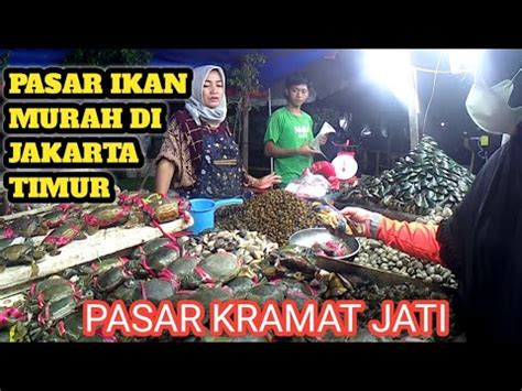 Pasar Ikan Murah Di Jakarta Timur Vlog Pasarkramatjati Pasarikan