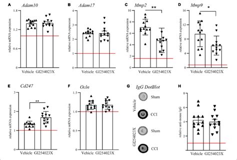 Gi254023x Influences Matrix Metalloproteinase Gene Expression But Not