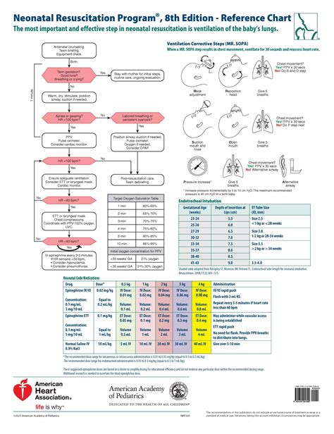 Amazon NRP Wall Chart 9781610025300 American Academy Of