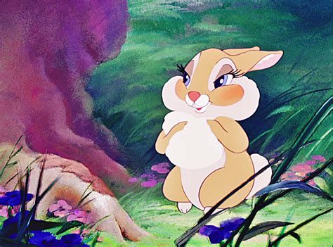 Walt Disney Characters images Walt Disney Screencaps - Miss Bunny HD ...