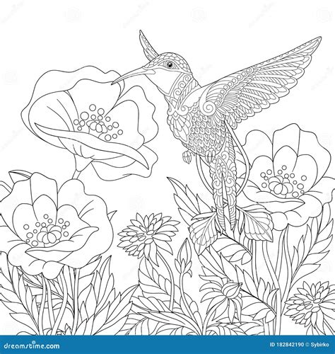 Hummingbird Flower Coloring Pages