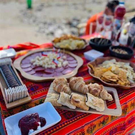 Santiago Dagtocht Cajon Del Maipo El Yeso Dam Met Picknick