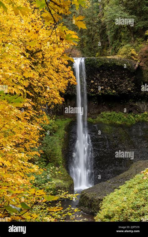 Usa Oregon Silver Falls State Park Lower South Falls Waterfall