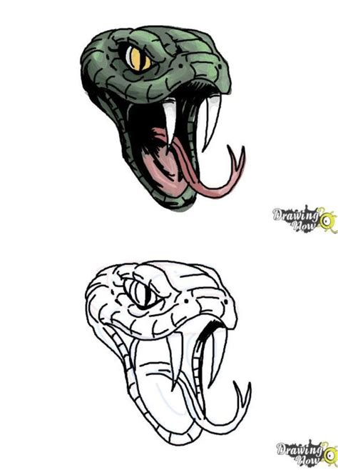 Cobra Snake Drawings Realistic