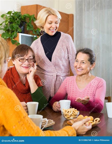 Mature Women Drinking Tea Stock Photo Image Of Colleagues 51086740