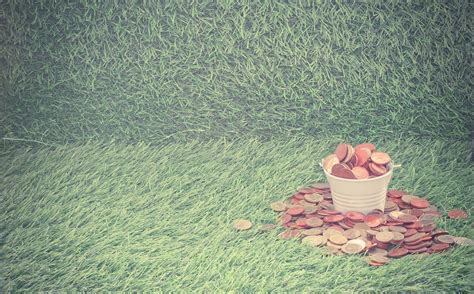 sinking fund      stay  budget