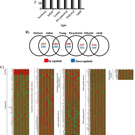 Characterization Of Mesenchymal Stem Cell Derived Extracellular Download Scientific Diagram