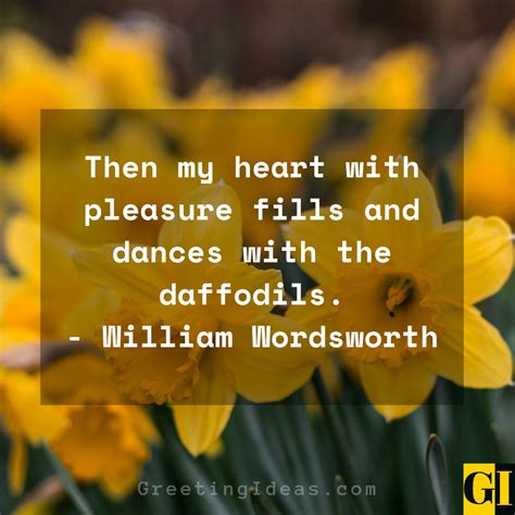 30 Lovely And Beautiful Daffodil Quotes And Sayings