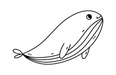 Premium Vector Cute Whale Isolated On White Background Hand Drawn