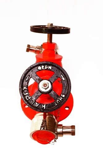 Material Stainless Steel Kalpex Ss Double Headed Landing Valve Ss