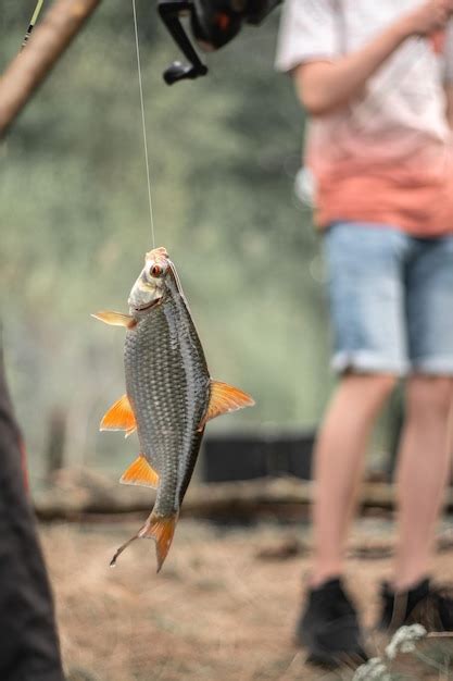 Premium Photo Midsection Of Man Holding Fish