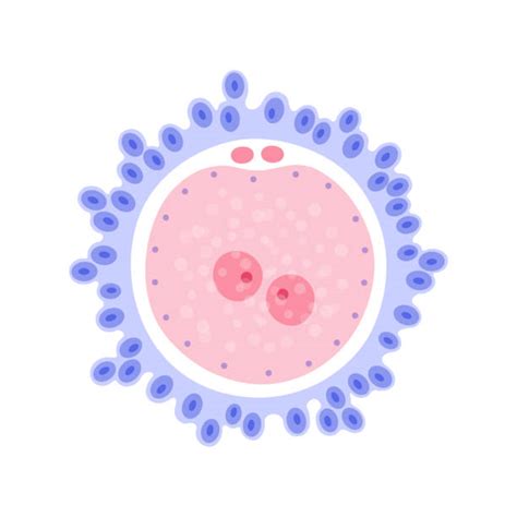 Thyroid Cancer Cells Vs Normal Cells