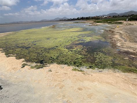 Cronología del desastre del Mar Menor y la angustia del regadío