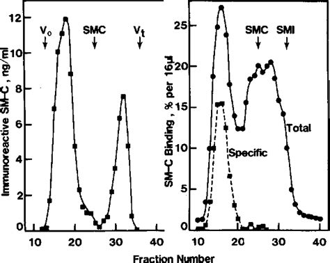 Figure 1 From Identification Of Human Semen Insulin Like Growth Factor