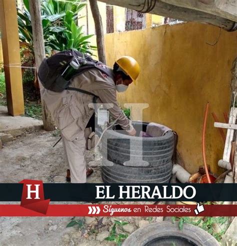 El Heraldo De Tuxpan Llega Brigada Contra El Dengue A La Vicente