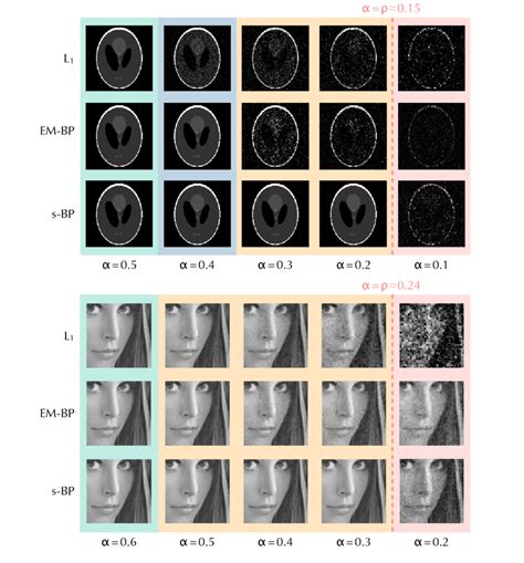 Two Illustrative Examples Of Compressed Sensing In Image Processing