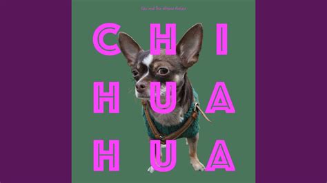 Chihuahua - YouTube