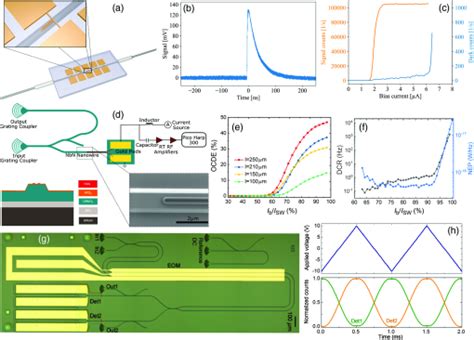 Advances In Lithium Niobate Photonics Development Status And Perspectives