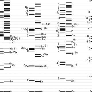 Theoretical Collective Levels Calculated By The General Bohr