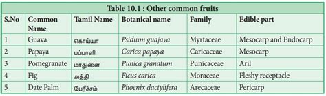 Fruits - Uses, Origin and Area of cultivation, Botanical name - Food plants